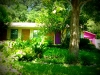 dawson-78704-austin-tx-homes